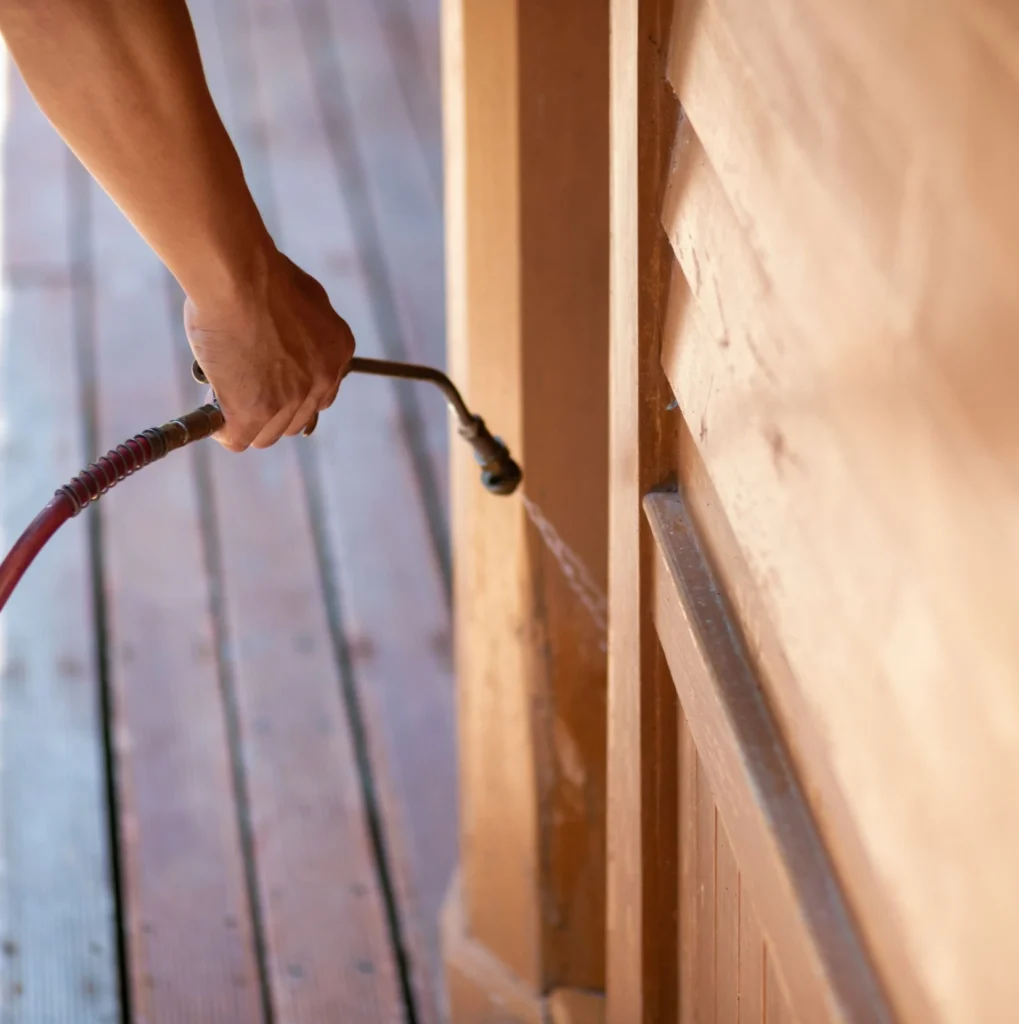 Trusted Pest Control - Springfield Gardens Best Pest Pros | Springfield Gardens, NY | 516-963-5933